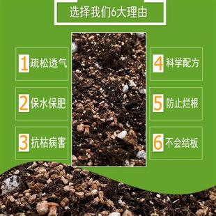 种植土通用型多肉土兰花土专用营养土绿萝绿植种植土壤 包邮 营养土