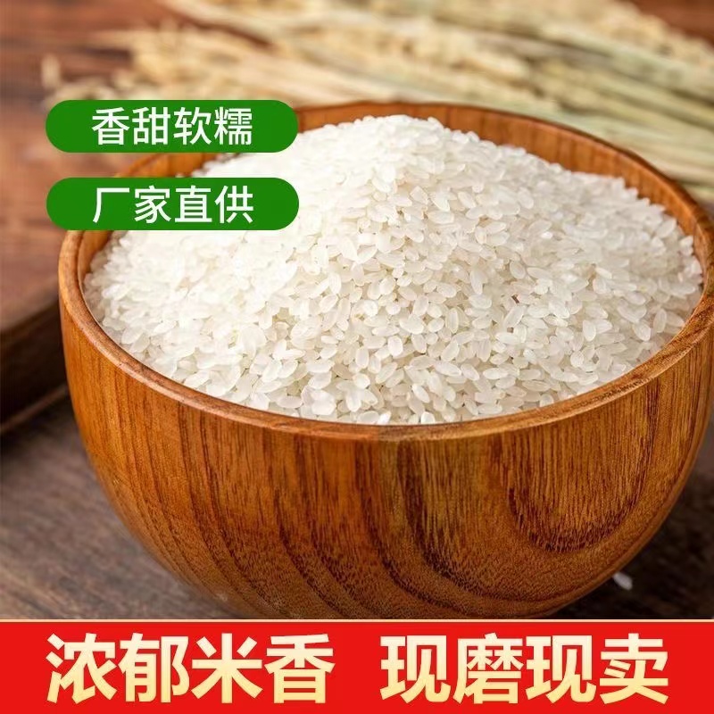 东北大米10斤五常大米2023年新米5kg稻香贡米长粒香大米圆粒米5斤