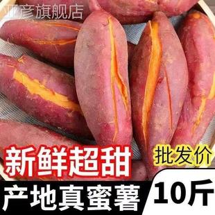 河南西瓜红蜜薯新鲜10斤板栗红薯农家自种红心地瓜糖心烤番薯蔬菜