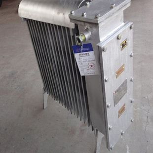 2000rb1煤矿用隔爆型电热取暖器煤矿用隔爆型电热取暖器