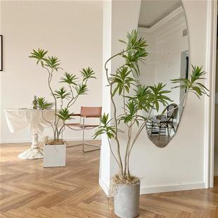 饰盆栽假植物 北欧ins仿真绿植百合竹大型落地室内客厅摆件橱窗装