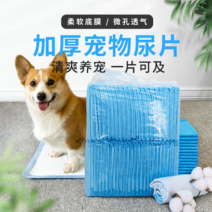 狗狗尿垫尿片加厚除臭吸水大号尿不湿训导专用一次性厕所宠物用品