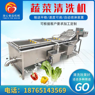 净菜流水线不锈钢洗菜机 商用水果清洗机 叶类蔬菜清洗机
