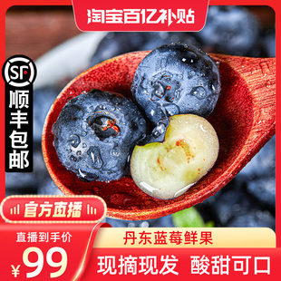 丹东蓝莓鲜果现摘大果新鲜孕妇甜水果 官方直播