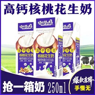 早餐奶核桃花生牛奶加钙学生儿童营养饮品饮料250ML 新日期