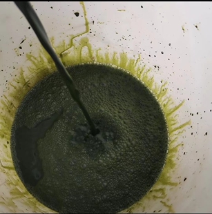 浓缩液 浓缩小球藻 微藻饵料 轮虫饵料 小球藻泥 微拟球藻 藻膏