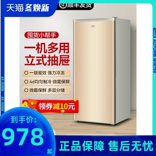 冷冻柜冷藏家用小型节能急冻小冰箱 冰柜冷柜148l抽屉式 荣事达立式