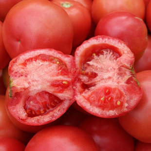 云南自熟沙瓤西红柿老品种番茄精选大果高山露天种植新鲜拒绝催熟