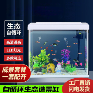 2022自循环金鱼缸懒人免换水生态玻璃鱼缸客厅小型家用桌面水族箱