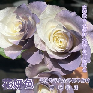 鲜花专用喷色剂卡普里灰紫色花束喷漆碎冰蓝玫瑰花艺染色剂花妍色