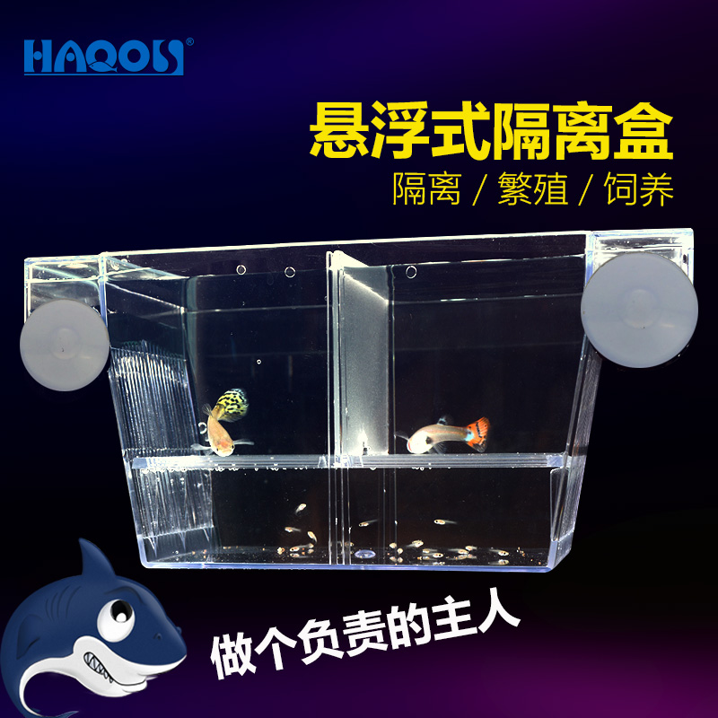 亚克力鱼缸隔离孵化盒水族箱缸内使用孔雀鱼繁殖孵化盒缸外使用盒