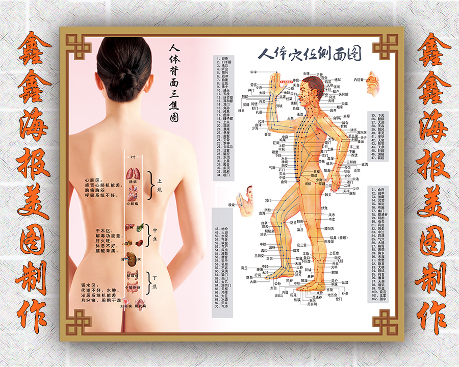 中医海报写真广告印刷挂图KT板子定制人体背部三焦图穴位图美图