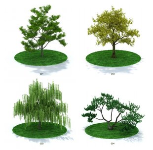 小植物模型3d植物小盆栽3dmax模型植物max 非实物植物系列二dvd4