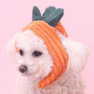 Shape Headwear Pet Comfortable Carrot Hat Cute 速发Pet