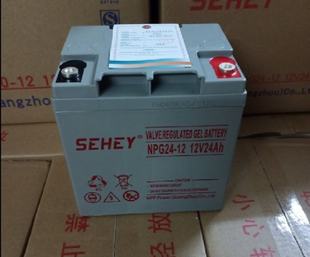 铅酸免维护12V24AH直流屏UPS电源 12阀控式 SEHEY西力蓄电池SH24