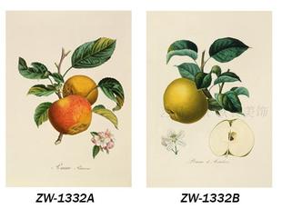 12色微喷画布定制 饰画无框画画心小清新美式 简约植物苹果花北欧装