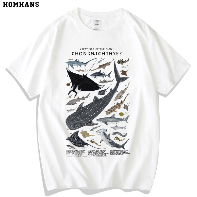 成人儿童科普 重磅纯棉T恤夏装 软骨鱼纲魔鬼鱼鲨鱼海洋动物短袖