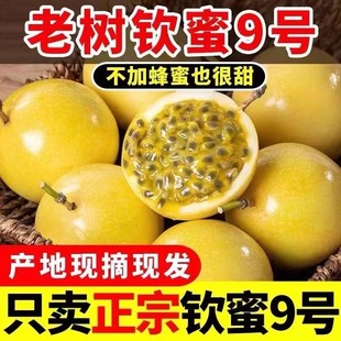 广西钦蜜9号黄金百香果新鲜大果5斤黄色原浆水果应季 包邮 整箱 当季