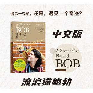 后浪正版 Cat Bob 日子 人生成长暖心励志读物 与Bob相伴 Named Street 遇见一只猫 詹姆斯波文 中文版 流浪猫鲍勃