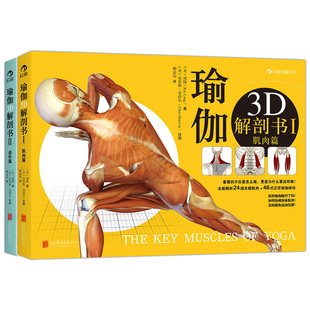 基础瑜伽拉伸教程零基础初级入门 肌肉篇套装 动作篇 瑜伽解剖学 瑜伽教程书 理解瑜伽3D解剖书1 全2册 后浪正版