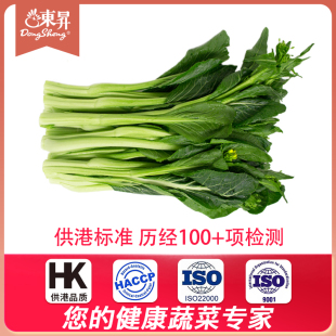 广州供港蔬菜新鲜配送300g 供港迟菜心嫩甜菜心 东升农场