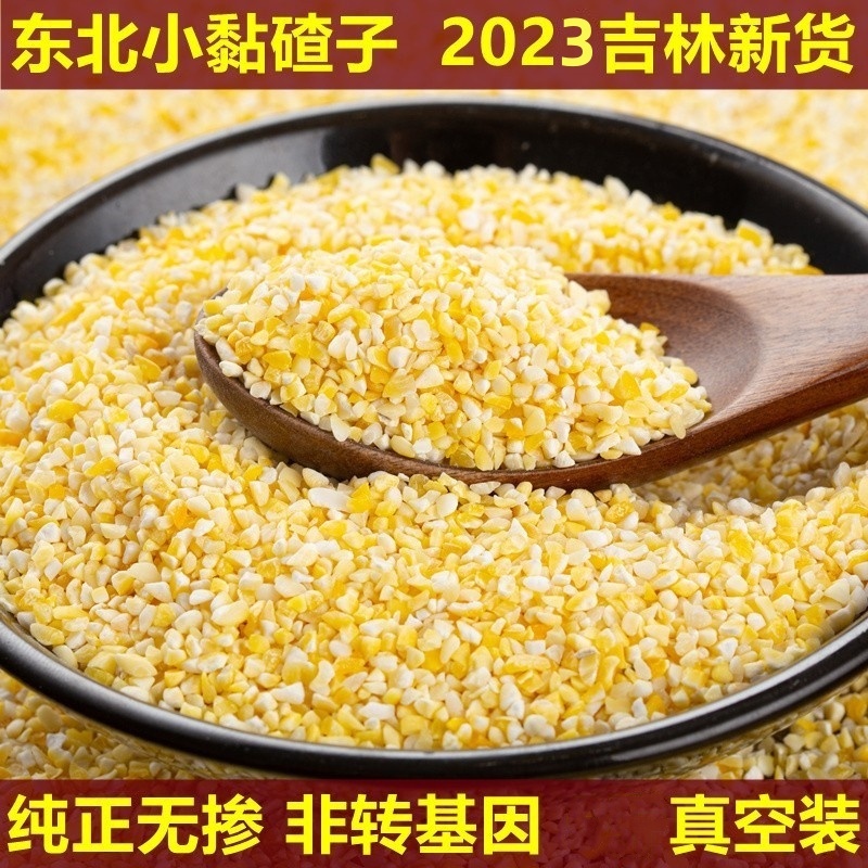 2023年新货东北小粒粘碴子米饭伴侣非转基因糯黄黏苞米粘玉米渣子