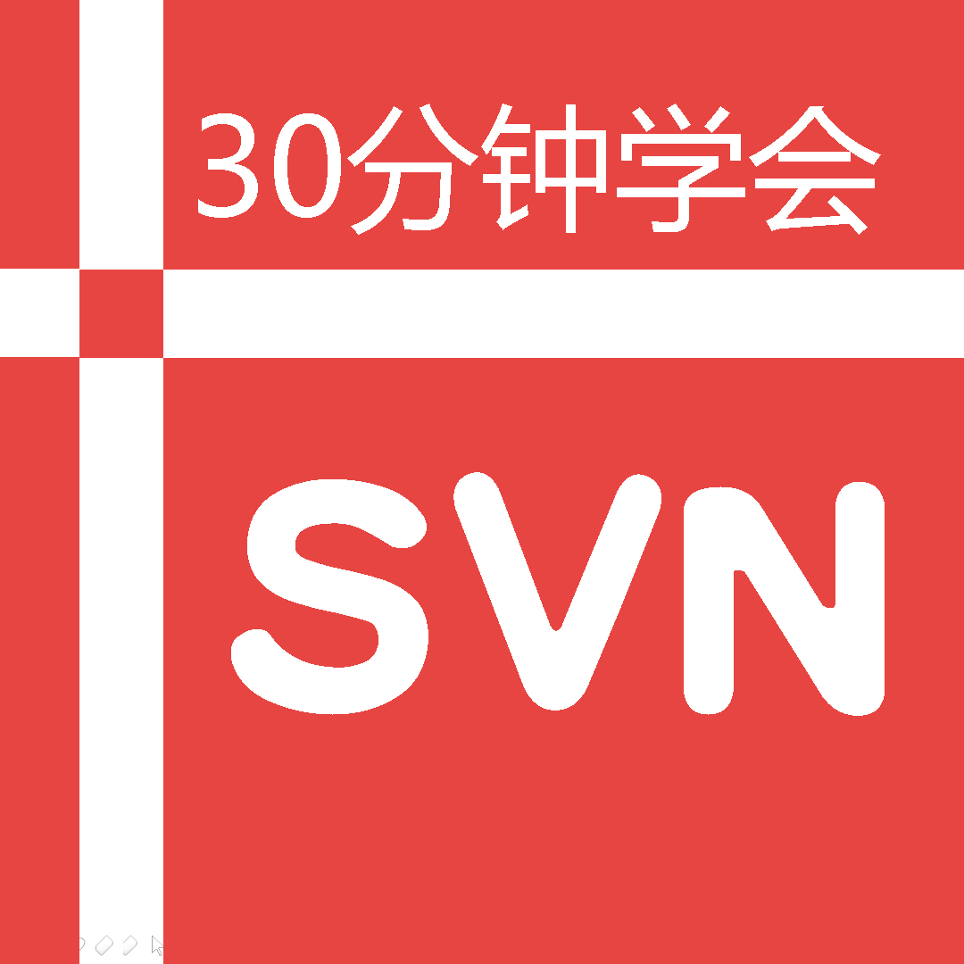 30分钟快速学会SVN SVN Visual Server视频教程 TortoiseSVN