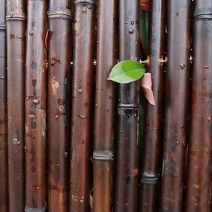 饰庭院围墙护栏阳台花坛花园 竹篱笆户外防腐栅栏装 碳化竹篱笆日式