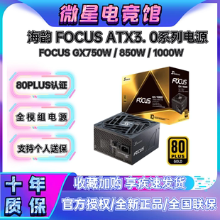海韵电源FOCUS 1000W台式 PX850W 机静音白色金牌全模组 GX750W