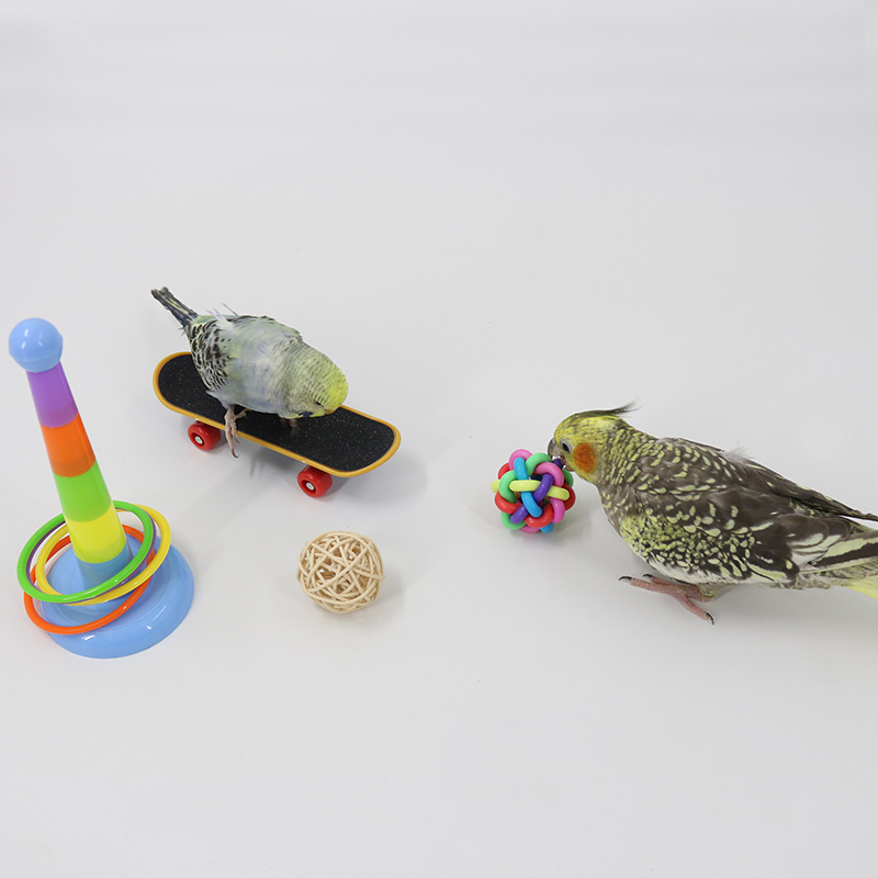 虎皮玄凤小太阳 益智玩具啃咬鸟玩具 宠儿新家鹦鹉训练工具用品