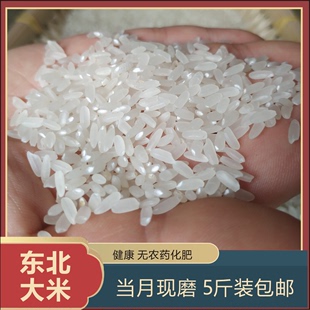 包邮 大米正宗东北农家自产现磨活水稻花香江水米煮粥米饭新米