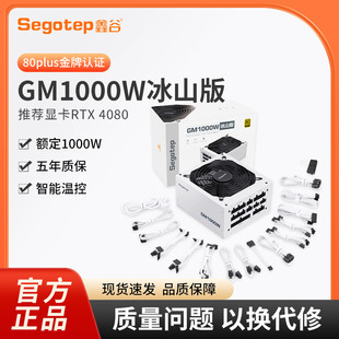 鑫谷GM1000W全模电源金牌ATX3.0电源1250W电脑电源台式 机4080显卡