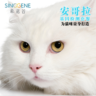 希诺谷猫咪基因检测系统性体检筛查遗传性宠物遗传病在线问诊