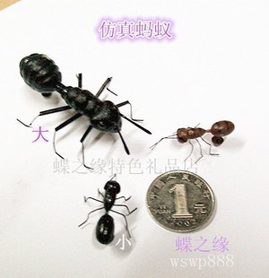 仿真昆虫系列 蚂蚁 昆虫冰箱贴 粘土磁性昆虫仿真动物手工艺品