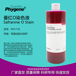 0.5%番红O染色液 PH1718 细胞革兰氏染色 PHYGENE Safranine