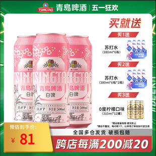 整箱 青岛啤酒白啤11度500ml 全麦白啤 包邮 12罐啤 正品 樱花版