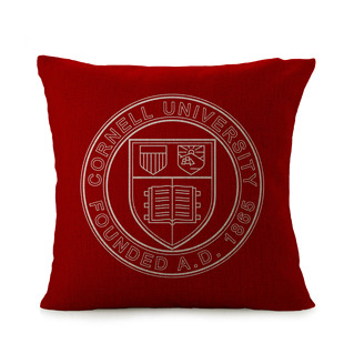 pillowcase Cornell Big Red College 康奈尔大学大红队抱枕NCAA