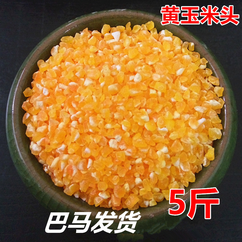 黄玉米头珍珠黄玉米粒糁无农药化肥 5斤2023年广西巴马特产当季