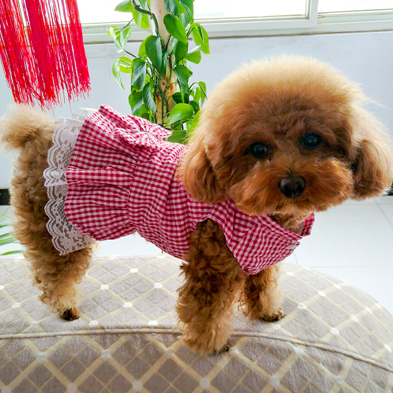 小型犬幼犬中型可爱裙子博美宠物夏天薄款 狗狗衣服泰迪猫咪夏季