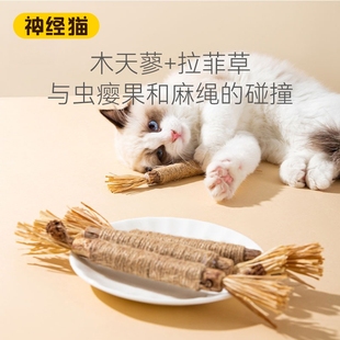 猫咪磨牙洁齿自嗨解闷耐咬耐磨玩具布偶猫英短通用猫咪用品