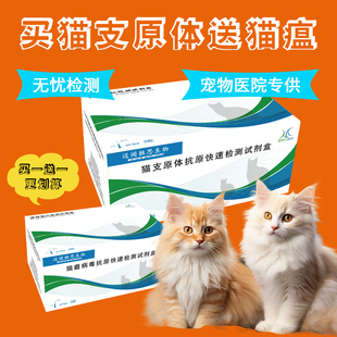 猫支原体送猫瘟快速检测卡在家操作方便一次性检测卡