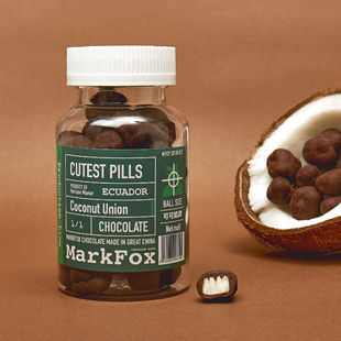 健康零食 巧克力瓶 休闲食品 巧克力豆 椰子岩 可可狐