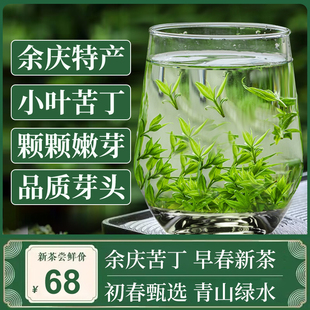 2024年新茶贵州余庆特产正宗小叶苦丁茶青山绿水茶朵形嫩芽叶散装