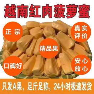 AA果越南红肉菠萝蜜干苞干包当季 包邮 假榴莲整个平价 新鲜水果应季