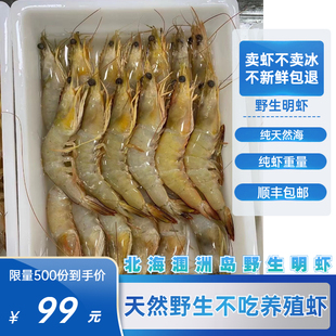 国产海捕大虾鲜活超大海虾明虾1500g涠洲岛野生冻斑节虾对虾白虾
