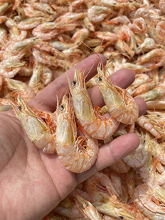海芦虾干汕尾特产海鲜干货无盐即食孕妇零食烤虾干活虾鲜晒