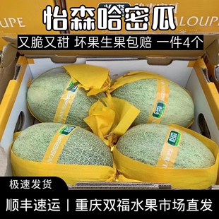 蜜瓜重庆双福 整件约14斤新鲜水果礼盒装 海南怡森哈密瓜一件4个装