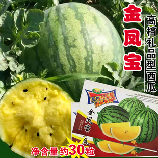 四季 播蔬菜种子秋季 水果西瓜种子台湾精选特小凤黄壤小西瓜种 种