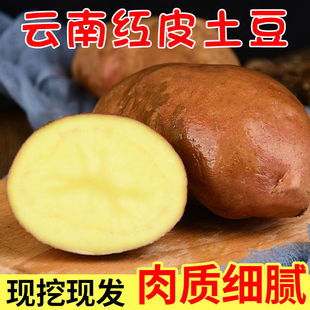 黄心土豆5斤装 新鲜土豆 云南沙地红皮马铃薯洋芋蔬菜 新鲜现挖