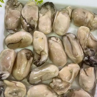 海地村韩国进口牡蛎肉生蚝新鲜牡蛎特大肉肥即食海蛎子500g